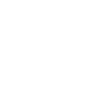 Design Icon